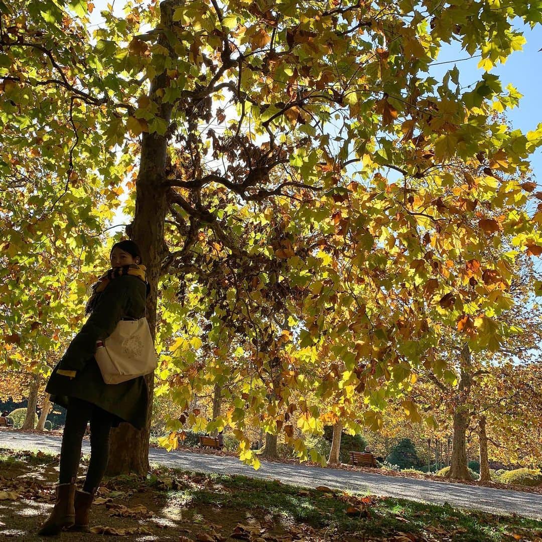 のインスタグラム：「今日のように寒くなると秋がすでに恋しくなる🍂　いつかの新宿御苑。 ・ ・ ・ 🍂🐿🍂 ・ ・ ・　 #今年の秋 #新宿御苑 #散歩 #신주쿠겨엔  #올해가을」