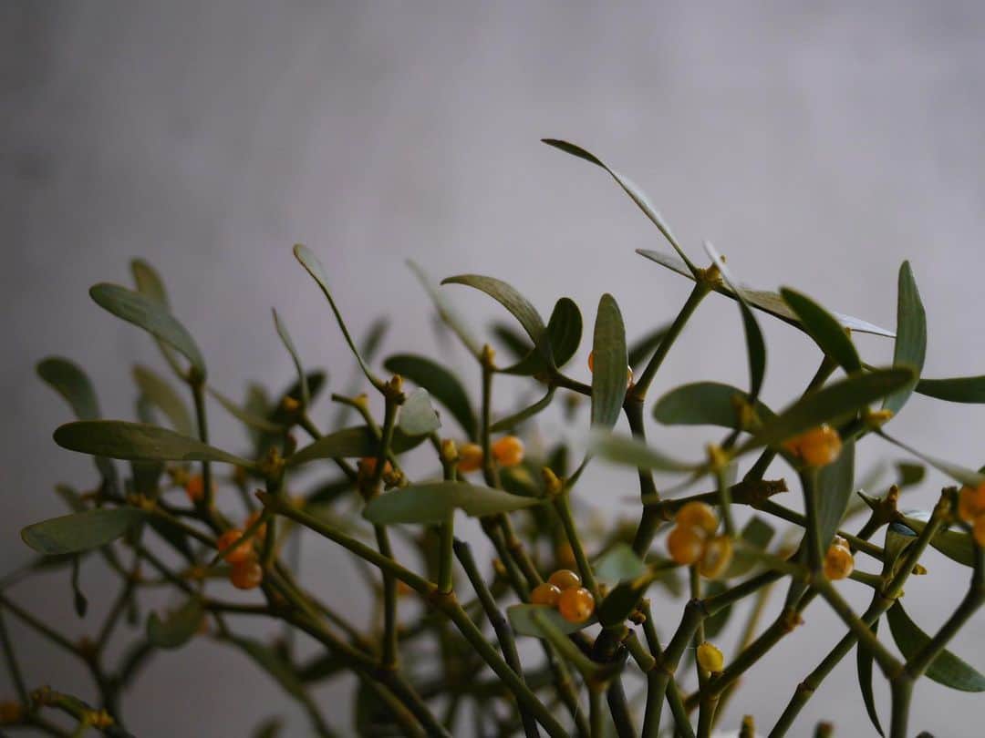 MARLMARL（マールマール）のグルメインスタ