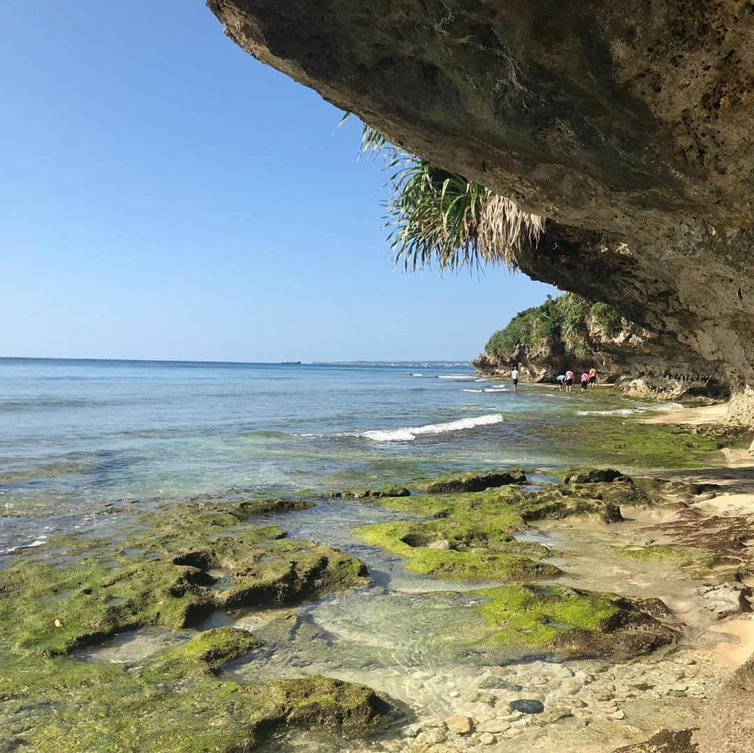 中村涼子さんのインスタグラム写真 - (中村涼子Instagram)「沖縄・本島withイモトアヤコ  久高島は一泊させていただいて、翌日は本島へ。 沖縄の自然がすごい！！！！ 10年前に母と2人で訪れてから10年ぶりの沖縄。 沖縄のイメージが変わりました。 自然がすごい。 白い砂浜が、珊瑚からできてる、なんてことも知らなかったです。 珊瑚は可愛くて、すごく面白いですね。 ちなみに私は車の運転免許を持っていません。 運転は全てイモトさんがしてくれています。オマケに車酔いがちで、寝たりします。 本当にイモトさんありがとう…ごめんなさい…  また行きたいですOkinawa。最高の3日間でした！ #沖縄は #車必要」12月17日 15時02分 - nakamuraryoko56