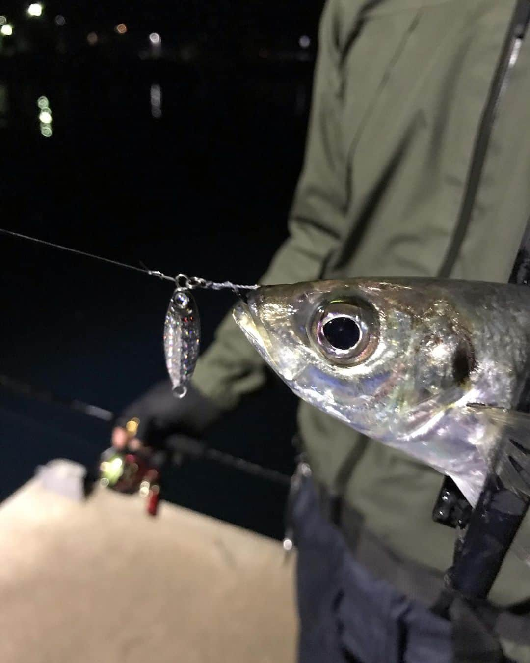 金丸竜児さんのインスタグラム写真 - (金丸竜児Instagram)「昨晩はアジング‼︎ 巻きで魚子バイブ、リフト&フォールで魚子メタルが大活躍でした(^^)v  #魚子バイブ　#魚子メタル　#マイクロメタル　#マイクロメタルゲーム　#マイクロジギング　#アジ　#アジング　#RUDIES #ルーディーズ　#アピア　#APIA #マイクロメタル専用ロッド　#金丸カスタム　#金丸竜児」12月17日 15時38分 - kanamaru_ryuji