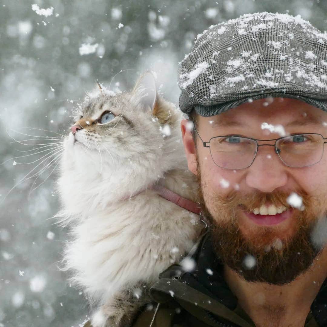 Floraのインスタグラム：「Please give us snow and daylight, do not forget the daylight. 😹😻🎄#kattunge #dailyfluff #bestanimal #igcutest_animals #cat_features #cutepetclub #fluffypack #katt #bestmeow  #weeklyfluff #meow #AnimalAddicts #kittycat #cat #cats #kitten #kittens #kawaii #instacat #calico #neko #winter #snow #2019 #sibiriskkatt #siberiancat #christmas」