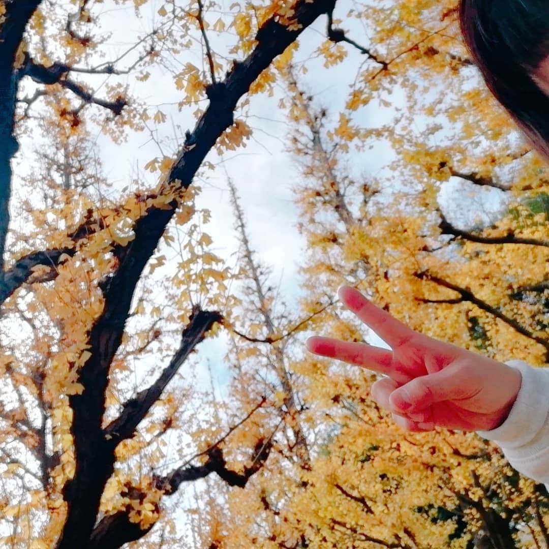 野川さくらのインスタグラム