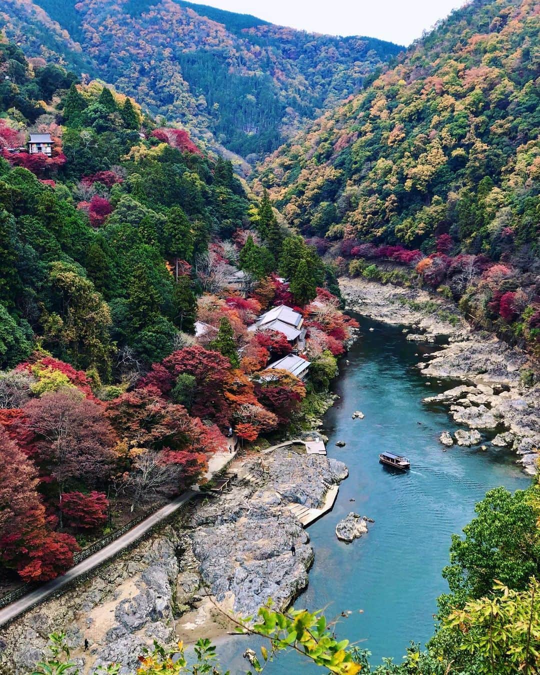 のインスタグラム：「京都市右京区#嵐山  Location Kyoto Japan #arashiyama  2019.11.25  嵐山の展望台🍁🍁ここから#千光寺 が見えるのもお気に入り。  #日本の風景  #美しい日本  #そうだ京都行こう  #ダレカニミセタイケシキ  #日本庭園  #神社仏閣  #寺院仏閣  #絶景delic  #japanesetemple  #japanesegarden  #ap_japan_  #look_japan  #total_autumn  #igbest_shots  #amazing_shots  #earthfocus  #earth_superior  #special_spot_  #earthpix  #jalan_travel  #lovers_nippon」