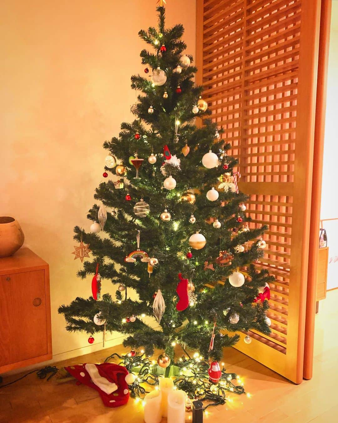 小林三江子さんのインスタグラム写真 - (小林三江子Instagram)「12月って華やかでいいな。。 #birthdaymonth #christmas #christmastree #flowers #happyholidays」12月17日 18時19分 - mieko_kobayashi