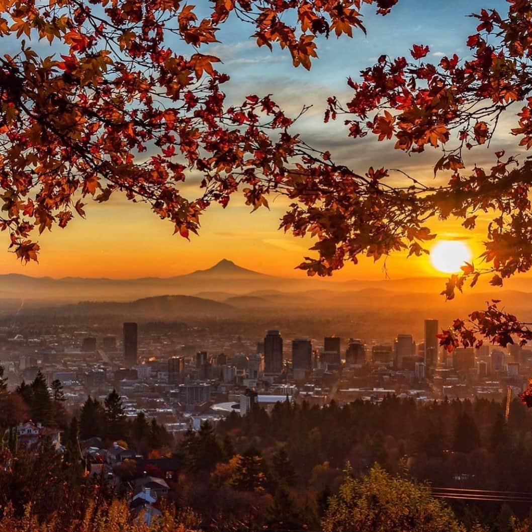 Portlandさんのインスタグラム写真 - (PortlandInstagram)「Beauty.  #portland #pdx 📷 @50shadesofpnw」12月18日 4時18分 - portland