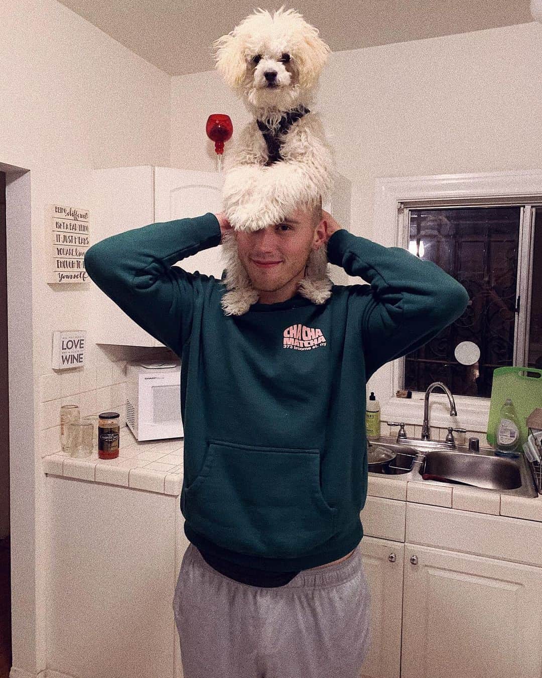 ブランドン・シェイアのインスタグラム：「My little guy 😩 I love him so much.」