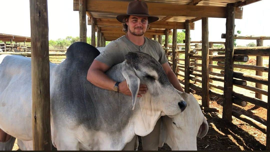 ヴィンピー・ファンデルヴァルトさんのインスタグラム写真 - (ヴィンピー・ファンデルヴァルトInstagram)「Bull whisperer 🤠 #boer#seikobrahmane @seiko_brahmane」12月18日 5時17分 - wimpievdwalt