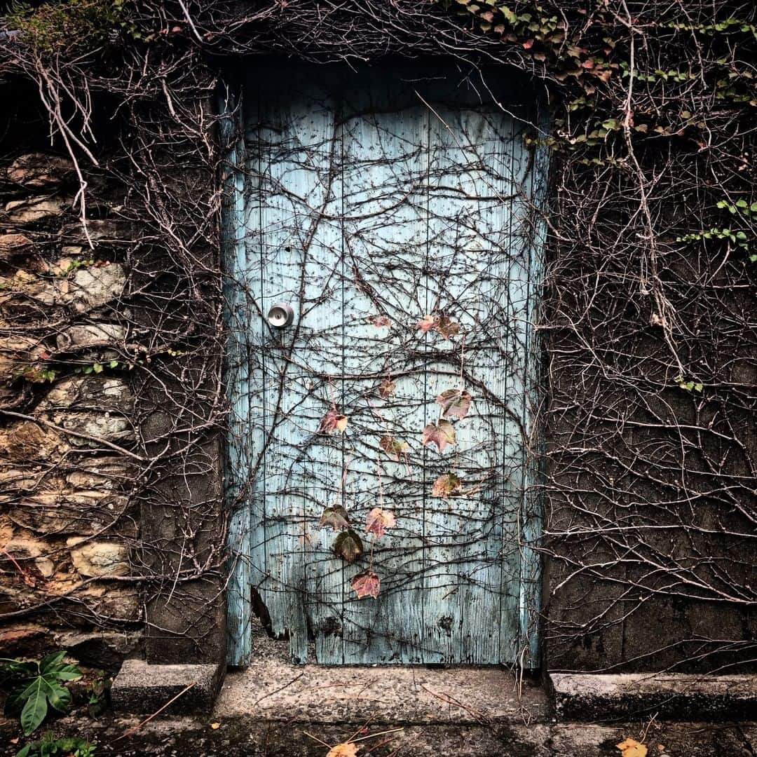 ナショナルジオグラフィックさんのインスタグラム写真 - (ナショナルジオグラフィックInstagram)「Photo by Ivan Kashinsky @ivankphoto | Vines grow over a small door in the fishing village of Hiwasa on the island of Shikoku, Japan. Hiwasa is home to Yakuō-ji, a Buddhist temple built in 726.」12月17日 20時39分 - natgeo