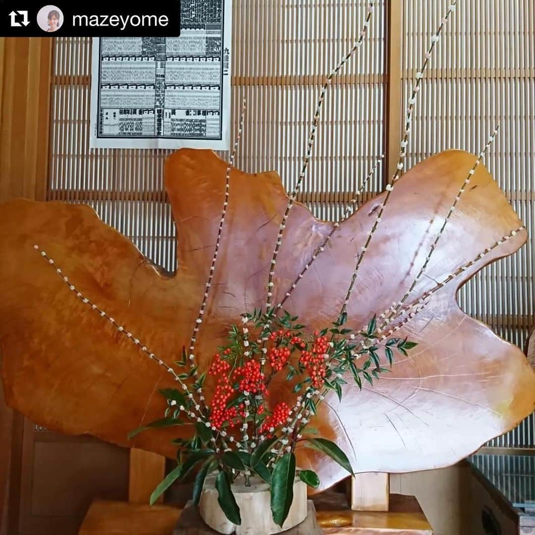 Gero City【下呂市公式アカウント】さんのインスタグラム写真 - (Gero City【下呂市公式アカウント】Instagram)「#Repost @mazeyome with @get_repost ・・・ 小学校の授業で娘ふたりと作った花餅完成しました🌸  もう６年生なので最後の花餅作り🌸 ３年間の集大成は大きい花餅ひとつにして、 ３人で細かくつけるの頑張りました✨  下呂に来て初めて花餅飾りというものを知り、学校の授業で子どもたちと作れて、とてもいい経験になりました🏵️ ２枚目はやっと飾ったクリスマスツリー✨🎄✨ #gerostagram #下呂アンバサダー #下呂市#小学校 #授業#馬瀬タイム#２回 #花餅#花餅作り #とこわか#なんてん #３年目#集大成 #細かく#丁寧に#ワイワイ #あーだこーだ #おしゃべりしながら #楽しかった#いい経験 #下呂の風習#お正月飾り #遅めの#クリスマスツリー #✨🎄✨」12月17日 20時54分 - gerostagram