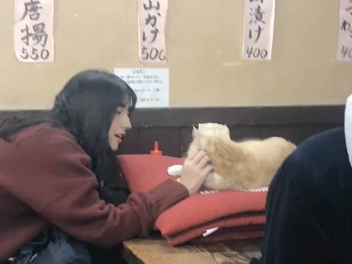 仁村紗和のインスタグラム：「猫様」