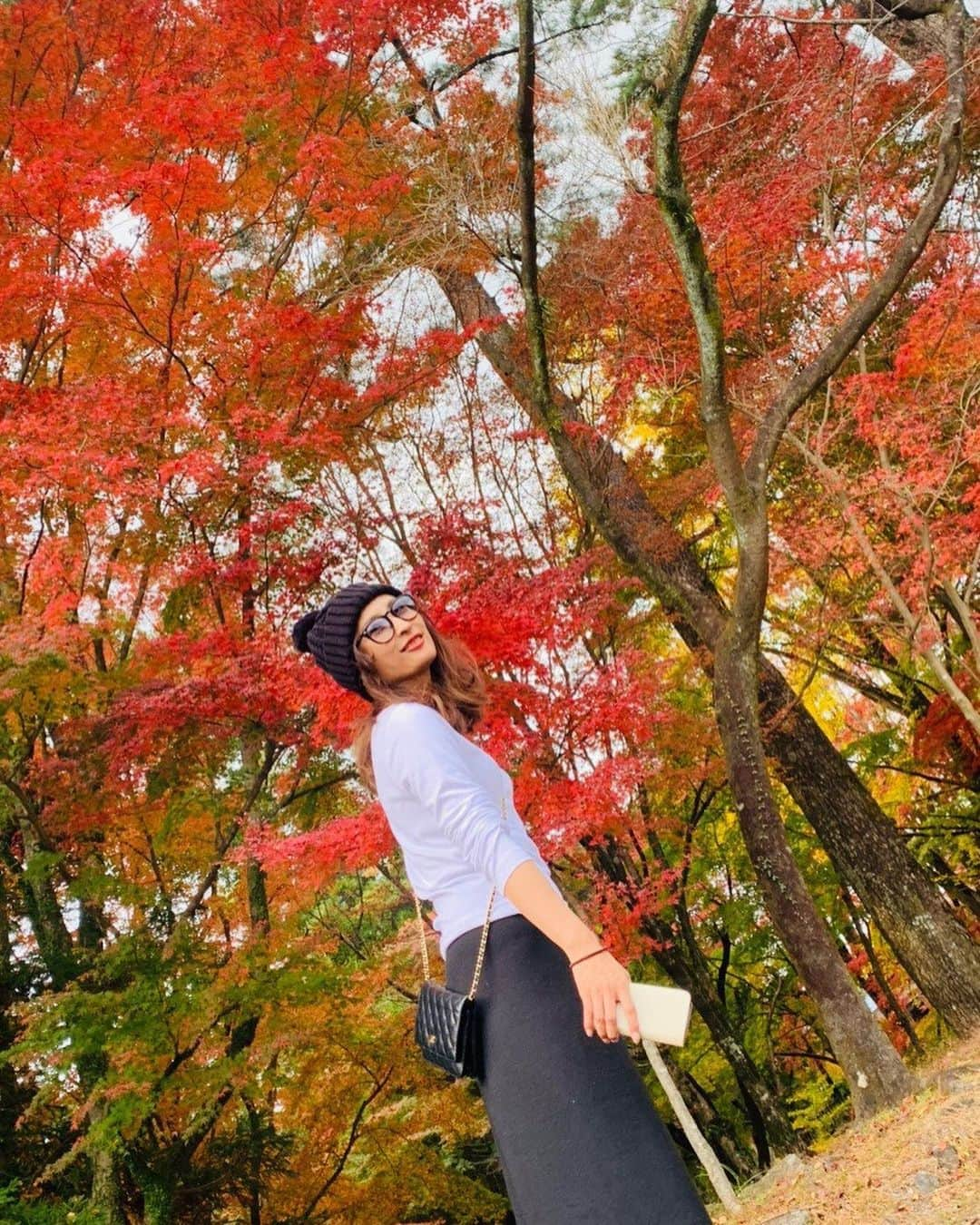 Ayaさんのインスタグラム写真 - (AyaInstagram)「日本の四季は 本当に美しい✨ 🍁🍁」12月17日 21時29分 - aya_green1010