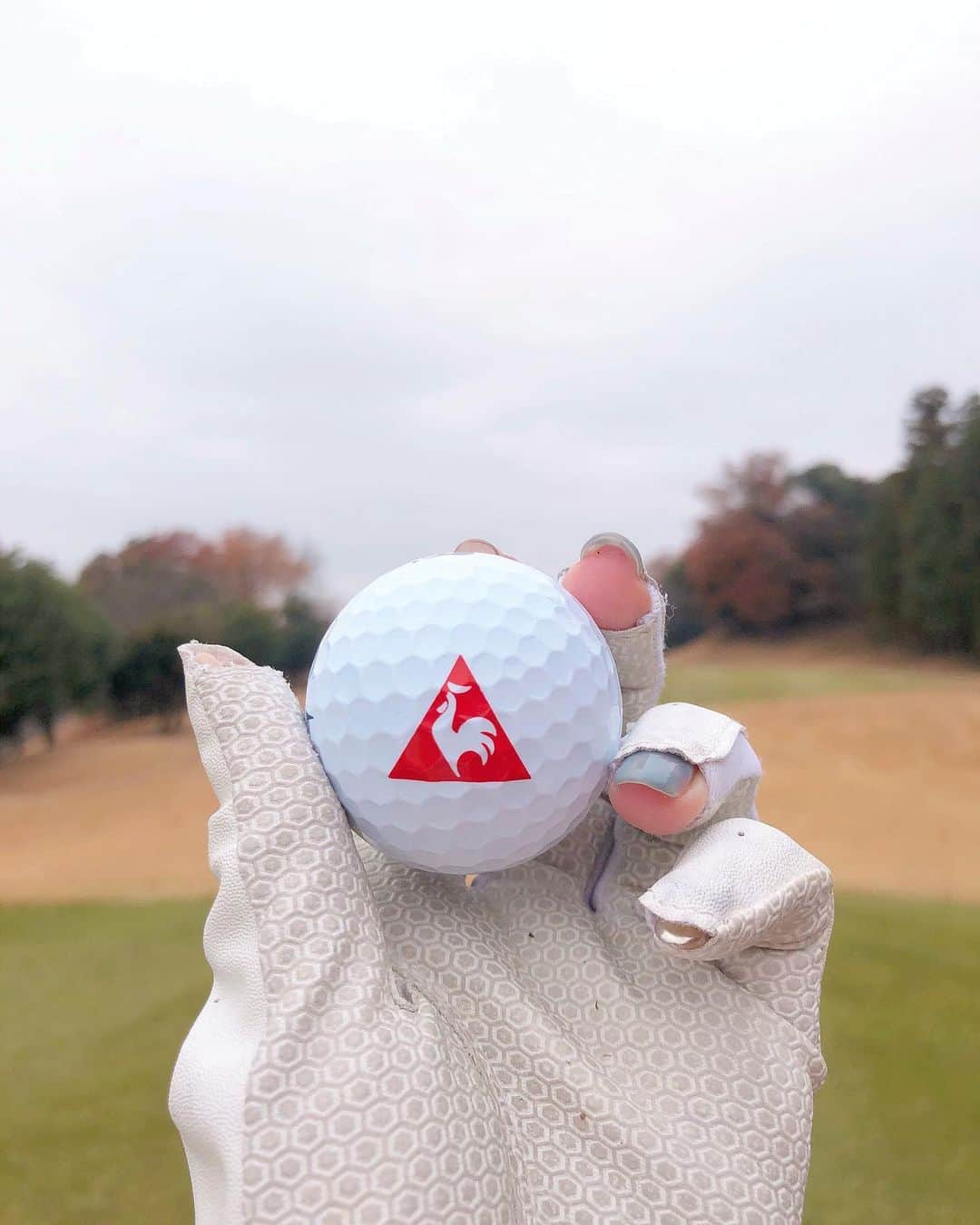 都築青空のグルメインスタ