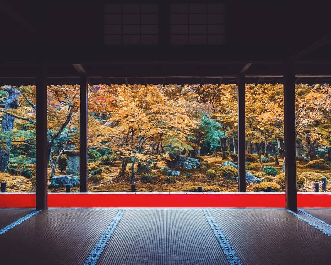 福田洋昭のインスタグラム：「Kyoto things ⛩️🍂」