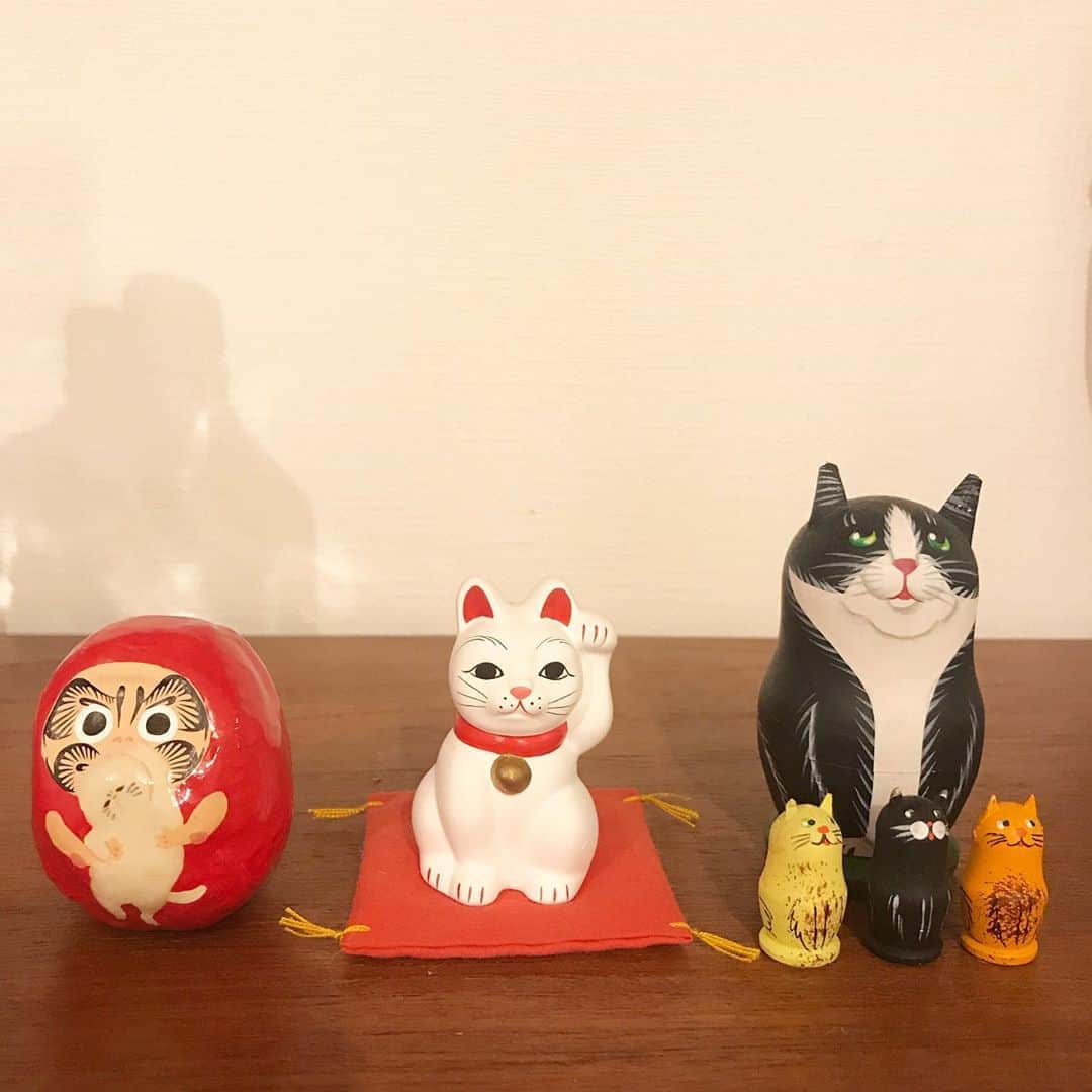 濱中鮎子さんのインスタグラム写真 - (濱中鮎子Instagram)「19日まで開催中の @imazine_osk  のイベントで”ダルマに猫を描いてもらえる”と聞いて、カリスマの @taniatsuhito  にチャイをどうかと依頼。  とびきりダルマチャイな愛らしい丸みが届きました！  谷さんありがとー❣️ なんか、これがあれば幸せに年を越せる気がしてならない。  #大阪の皆さん #ぜひ #imazine_osk  へ  #我が家は猫だらけ  #チャイ坊  #ねずみ年に猫というウィットに富んだクリエイティブ😸」12月17日 23時58分 - ayukohamanaka