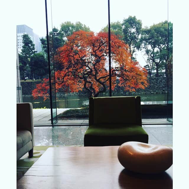 勝恵子さんのインスタグラム写真 - (勝恵子Instagram)「パレスホテル東京のラウンジで打ち合わせでした。 シックで品格があり、和やかで寛げる空間。素敵。 #palacehoteltokyo #xmas  #パレスホテル東京」12月18日 0時17分 - keiko.katsu
