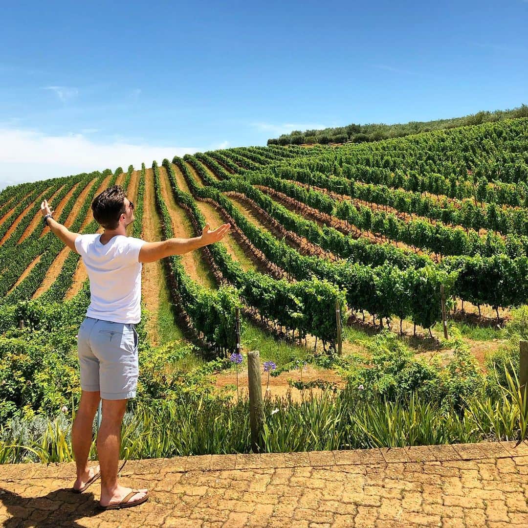 ダグラス・ラザノのインスタグラム：「Nothing to wine about here! 🍇🍷🇿🇦 #southafrica #stellenbosch」