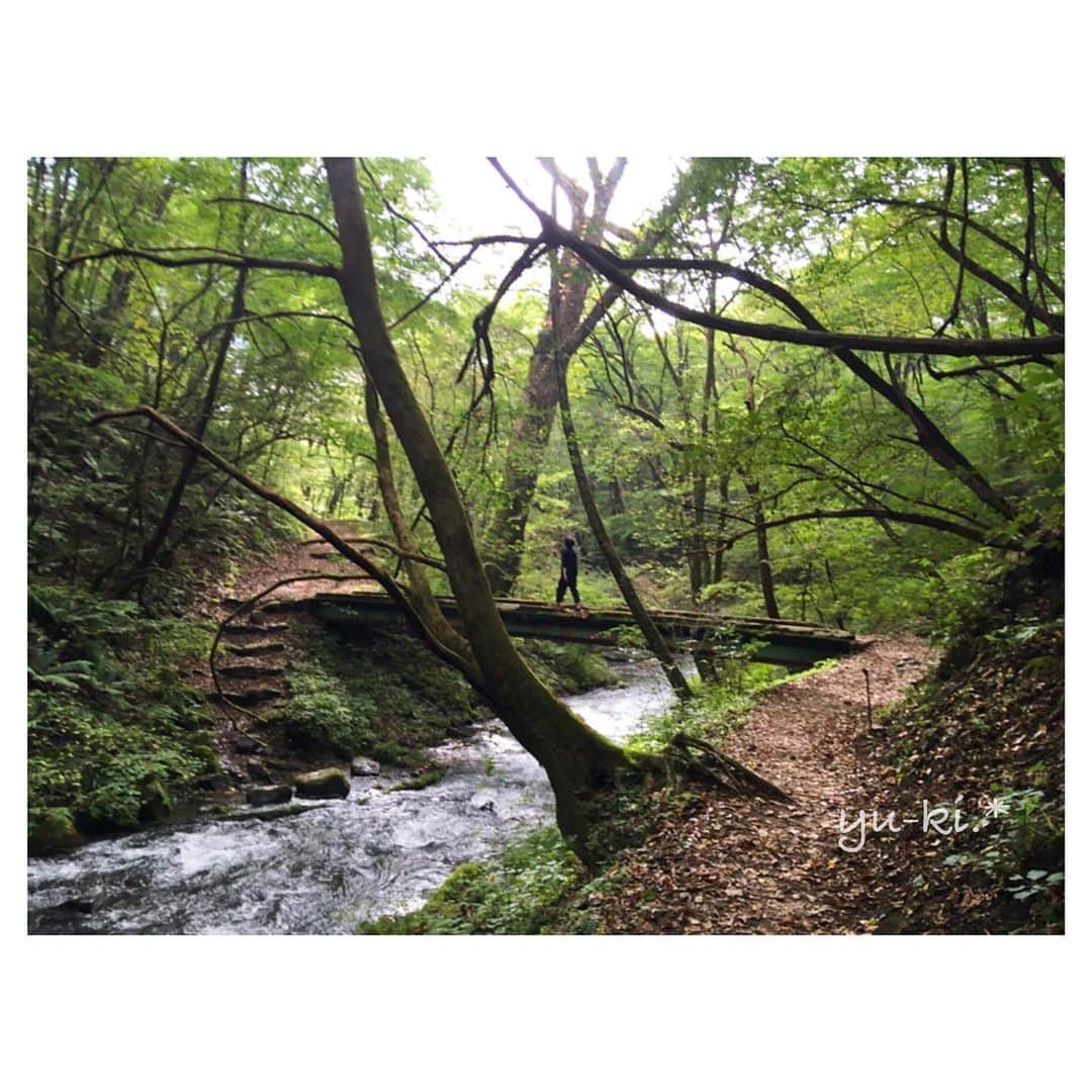 のインスタグラム：「. 📷 #竜返しの滝 . 滝に行くまでの 樹々がほんと素敵すぎた🤤. * そしてしばらく滝のとこいたら 太陽出てきて帰り道には また良い写真撮れた🤤💕 . 行きと帰りの写真 ごちゃまぜに並んでるけど☺︎ . ❷なんとなくジブリっぽい！ ❻特にお気に入り ❾➓ Photo by #EOSkissM  かっこいい樹の根っこに 苔が綺麗に生えてたー. * . #japantrip #karuizawa #shiraitofalls #ryugaeshifall #waterfall_japan #cameragirl #nature_japan #japaneseforest #国内旅行 #軽井沢 #滝 #カメラ女子 #マイナスイオン #日本の自然 #癒やしの空間 #カメラ好き #カメラ好きと繋がりたい #ファインダー越しの私の世界 #iPhoneで撮影 だけど」