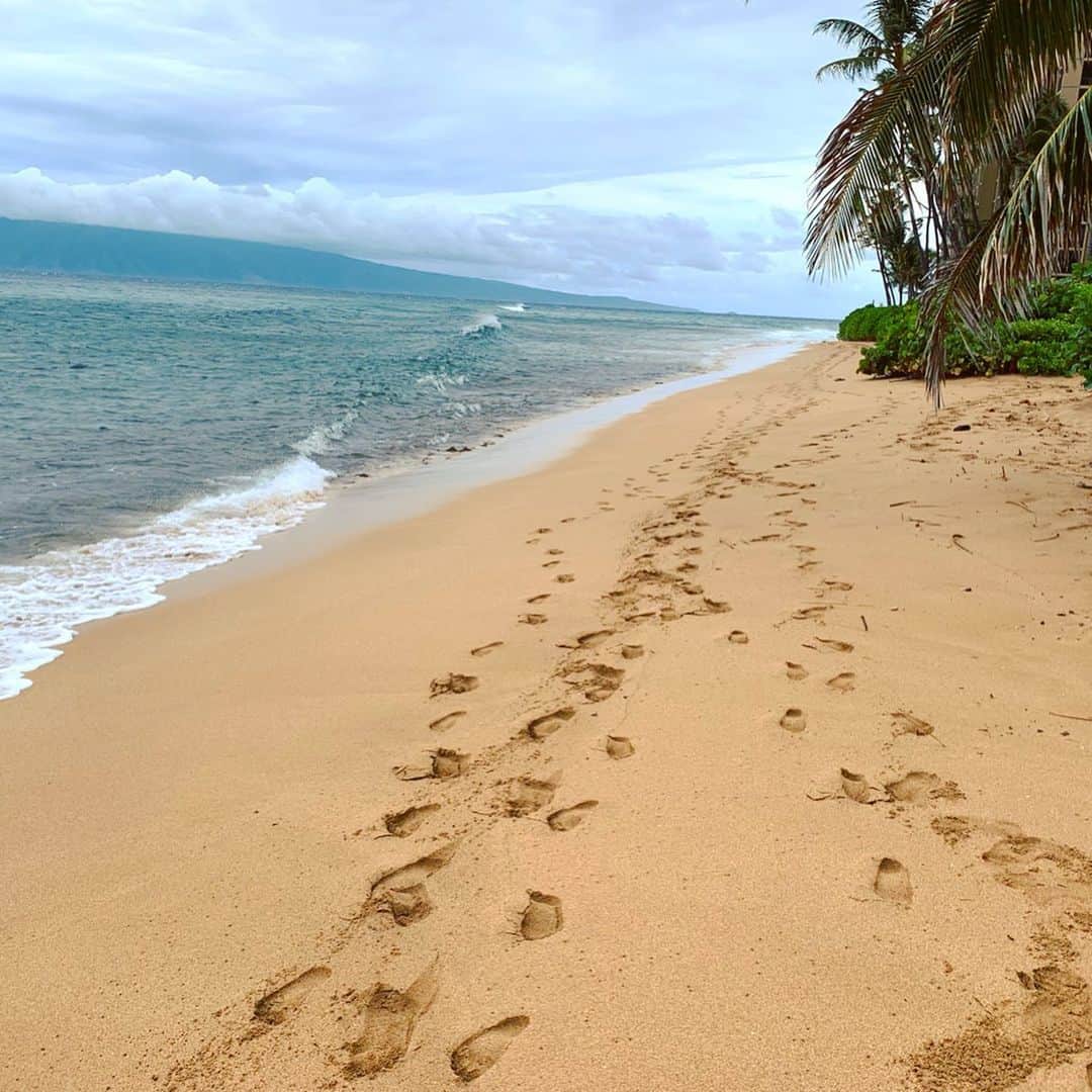 高松いくさんのインスタグラム写真 - (高松いくInstagram)「. . 　歩けば　自分の道になる  #一歩一歩 #足跡  #歩み #マウイ島 #maui #hawaii」12月18日 1時01分 - iku_takamatsu_trip_sup_yoga