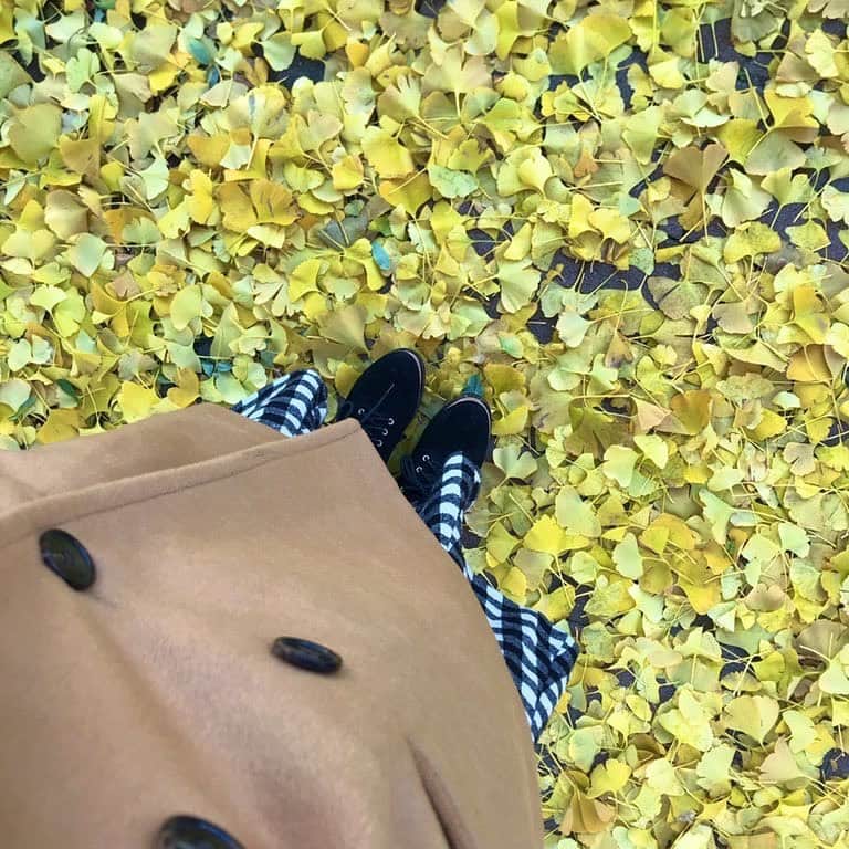 Yun chiのインスタグラム：「きいろの絨毯🍂🍁」