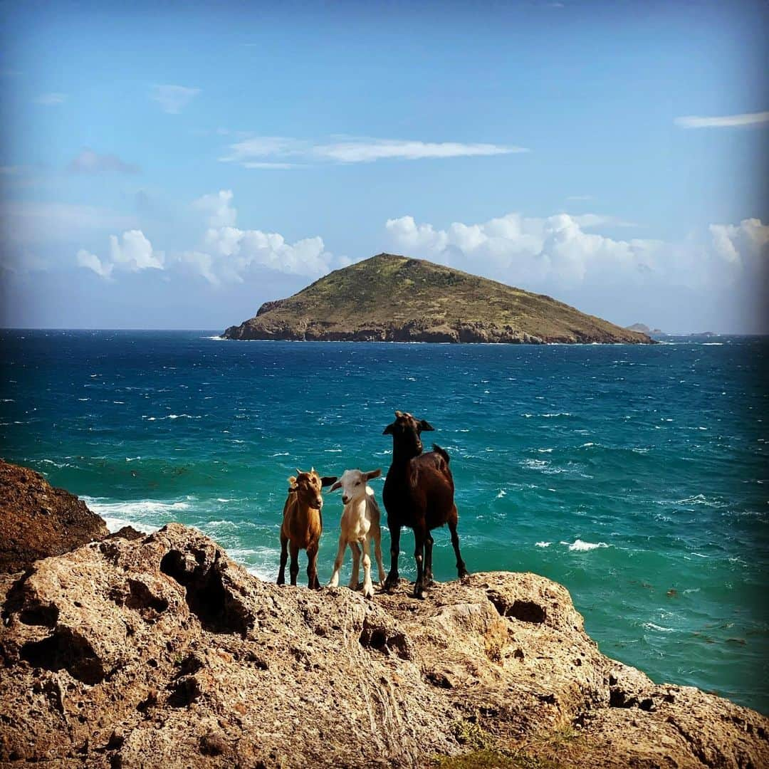 グラツィアーノ・ペッレさんのインスタグラム写真 - (グラツィアーノ・ペッレInstagram)「“And I think to myself, what a wonderful world.” 🎶 🌍❤️ #LifeisOne」12月18日 1時11分 - gpelle19_official