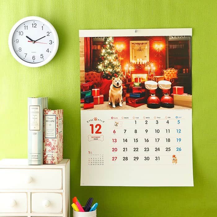 まる（まるたろう）さんのインスタグラム写真 - (まる（まるたろう）Instagram)「Do you have calendar of 2020? ✨🐶📅✨ねぇ、来年のカレンダーはもちろんまるのカレンダー使ってくれるよね？ #月めくりは壁掛けと卓上があります #週めくりは卓上のみとなります #おじいちゃんやおばあちゃんへのプレゼントにもいいと思うよ #彼女へクリスマスプレゼントにもいいかもね #もちろん自分へのご褒美にもね☺️ @marutaro_onlineshop ←へGO @gallerymarusan ←へgo」12月18日 14時50分 - marutaro