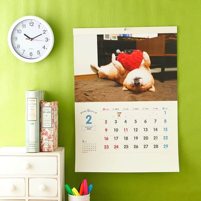 まる（まるたろう）さんのインスタグラム写真 - (まる（まるたろう）Instagram)「Do you have calendar of 2020? ✨🐶📅✨ねぇ、来年のカレンダーはもちろんまるのカレンダー使ってくれるよね？ #月めくりは壁掛けと卓上があります #週めくりは卓上のみとなります #おじいちゃんやおばあちゃんへのプレゼントにもいいと思うよ #彼女へクリスマスプレゼントにもいいかもね #もちろん自分へのご褒美にもね☺️ @marutaro_onlineshop ←へGO @gallerymarusan ←へgo」12月18日 14時50分 - marutaro