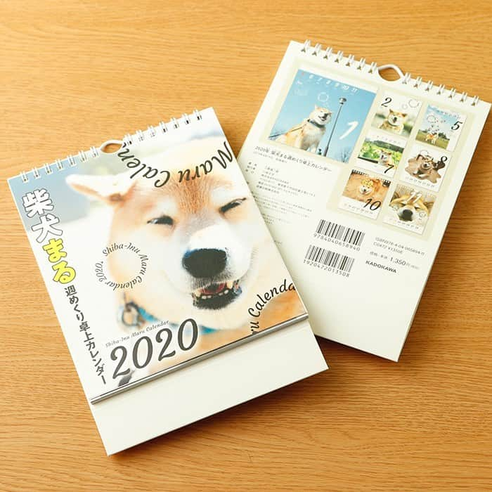 まる（まるたろう）さんのインスタグラム写真 - (まる（まるたろう）Instagram)「Do you have calendar of 2020? ✨🐶📅✨ねぇ、来年のカレンダーはもちろんまるのカレンダー使ってくれるよね？ #月めくりは壁掛けと卓上があります #週めくりは卓上のみとなります #おじいちゃんやおばあちゃんへのプレゼントにもいいと思うよ #彼女へクリスマスプレゼントにもいいかもね #もちろん自分へのご褒美にもね☺️ @marutaro_onlineshop ←へGO @gallerymarusan ←へgo」12月18日 14時50分 - marutaro