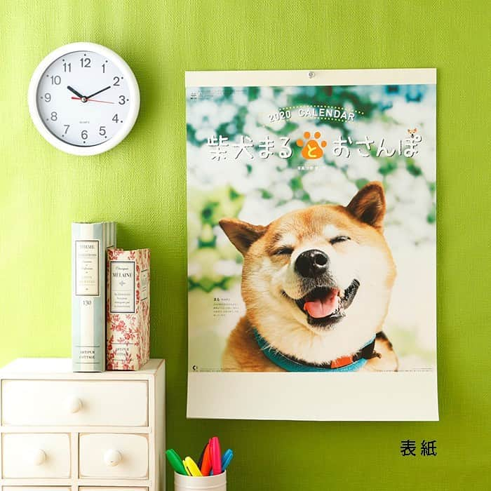 まる（まるたろう）さんのインスタグラム写真 - (まる（まるたろう）Instagram)「Do you have calendar of 2020? ✨🐶📅✨ねぇ、来年のカレンダーはもちろんまるのカレンダー使ってくれるよね？ #月めくりは壁掛けと卓上があります #週めくりは卓上のみとなります #おじいちゃんやおばあちゃんへのプレゼントにもいいと思うよ #彼女へクリスマスプレゼントにもいいかもね #もちろん自分へのご褒美にもね☺️ @marutaro_onlineshop ←へGO @gallerymarusan ←へgo」12月18日 14時50分 - marutaro