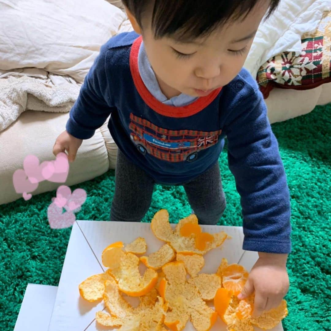 愛川ゆず季さんのインスタグラム写真 - (愛川ゆず季Instagram)「こんばんは。 みかんを爆食いする坊っちゃん。。 まず、座ろうか。 .  もうおわり！って言うと泣くので どのくらい食べるのかあげてみたら なんと5個食べ続けた！！ので 止めました💦 .  みかん後の 夜ご飯も普通に食べてくれたから よかった？けど、 食べすぎですよね。。 .  みかんはほどほどに。 .  最近のわたし。 . 妹の赤ちゃん(もうキッズだね)と久々あいました。 2人は約2ヶ月差。 まだ仲良く遊んだりはしませんが、楽しそう。 .  木口亜矢ちゃん 相沢まきちゃん 森下悠里ちゃんと オシャレランチ。 . 悠里ちゃんが広々個室を予約してくれたので 坊っちゃんも飽きずにウロウロにやり みんな綺麗なママで面白いしすごいなあ。 とみとれていました。 がんばろう。 .  と思った矢先 .  無意識に袖をまくりながら うどんをすすってた🥱 . 最近、ゆっくりご飯たべれません。。💦みんなどうしてるのーーー . #1歳6ヶ月 #男の子ママ」12月18日 13時48分 - aikawa_yuzuki