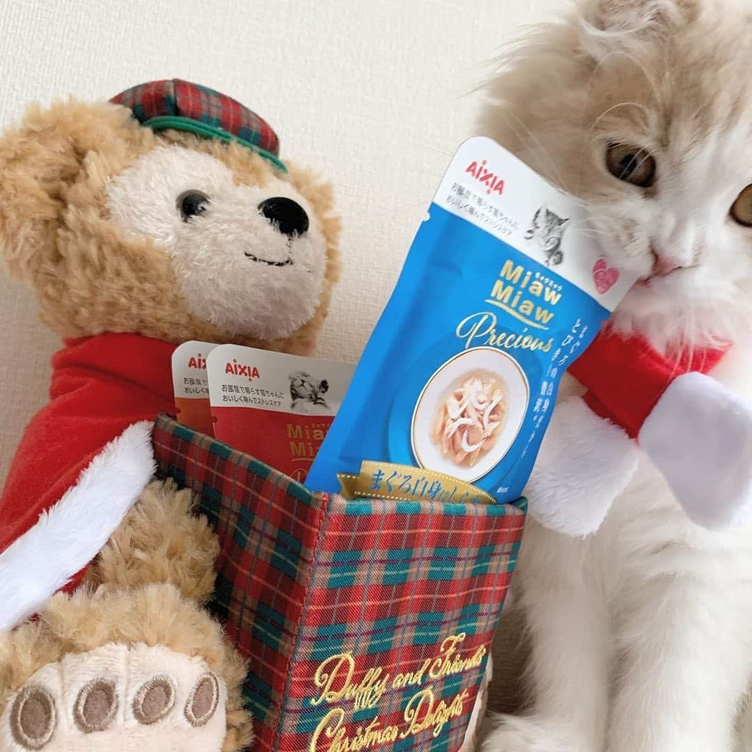 MiawMiawさんのインスタグラム写真 - (MiawMiawInstagram)「こんにちは😊♪⁣ ミャウミャウ公式アカウントです🐈⁣ ⁣ ただいま開催中のフォトコンテストの応募の中から⁣ 【 #ドレスパーティーmiawmiaw 】を⁣ 付けていただいた方のフォトをご紹介いたします！⁣ ⁣ ━･･━･･━･･━･･━･･━･･━⁣ photo： @myustagram101 さん⁣ ━･･━･･━･･━･･━･･━･･━⁣ ⁣ くまさんサンタとお揃いの赤いマフラーがとってもお似合い😻💕⁣ MiawMiaw Preciousがお気に入りみたいです🍴💓⁣ ⁣ ご応募ありがとうございました📷✨⁣ ⁣ ________________________________________＿＿⁣ ⁣ ＼MiawMiaw ドレスParty@インスタ フォトコンテスト開催中！／⁣ 限定商品『MiawMiaw Precious(ミャウミャウ プレシャス )　パーティーボックス』⁣ を購入してドレスパーティーに参加しよう😻🎀⁣ ⁣ 商品に付属の全8種類のパーティーウエアのうち、1種類以上を身につけた⁣ かわいい猫ちゃんを投稿して豪華賞品をGET🎁✨⁣ ⁣ 皆さまのご参加をお待ちしております🐈💓⁣ ⁣ ＜参加方法＞⁣ ① @miawmiaw_series (ミャウミャウ公式アカウント)をフォロー⁣ ② 『MiawMiaw Precious(ミャウミャウ プレシャス )　パーティーボックス』⁣ をご購入頂き、ボックスに入っているパーティーウエアを身に着けた猫ちゃんのお写真を撮影する⁣ ③ 下記のフォトコン専用ハッシュタグを付けて投稿する（複数応募・複数枚投稿可）⁣ ※キャンペーン期間外(過去投稿)の投稿に応募ハッシュタグを付けた場合はキャンペーンの応募対象外とさせていただきます。ご了承ください。⁣ ※並行して開催中のフォトコンテストへ同時にご応募いただくことも可能です。⁣ ⁣ ＜フォトコン専用ハッシュタグ＞⁣ #ドレスパーティーmiawmiaw⁣ ※「miawmiaw」を付けていただかないと今回の応募の対象になりませんのでご注意ください。⁣ ⁣ フォトコンテスト期間中、指定のハッシュタグでご参加いただいている方を、⁣ 当アカウントでご紹介させていただくこともございます💛⁣ ⁣ ＜募集期間＞⁣ 2019年11月1日(金)～2020年1月31日(金)23:59まで⁣ ⁣ ＜賞品＞⁣ 大賞✨（3名さま）おしゃれな猫ちゃん用限定ウエア＋MiawMiaw商品詰め合わせ⁣ ※賞品の画像はイメージです。変更になる場合がございます。⁣ ⁣ ＜入選者様へのご連絡＞⁣ 入選者発表は2⽉下旬を予定しております。⁣ 入選者の⽅には Instagram上のDMにてご連絡致します。⁣ ⁣ ＜ご注意＞⁣ ＊本キャンペーンにご参加いただくことにより、本募集要項に同意いただいたものとみなします（未成年の方については、親権者に同意いただいたものとみなします）。⁣ ＊本キャンペーンは、限定商品『MiawMiaw Precious(ミャウミャウ プレシャス )　パーティーボックス』をご購入いただいた方限定のキャンペーンになります。⁣ ＊選考時に、アカウントフォロー及び指定のハッシュタグ投稿を継続いただいていることが確認できない場合、選考の対象から外れることがあります。フォトコンテスト終了からおおむね1か月程度、参加条件に達する状態を継続いただくことをお勧めします。⁣ ＊アカウントを非公開設定にしている場合は選考対象外となります。⁣ ＊再選考は行いません。⁣ ＊入選者は、配送の都合で日本国内にお住まいの方に限らせていただきます。⁣ ＊企業アカウントからのご応募は選考対象外となります。⁣ ＊賞品の返品・交換はできませんのでご了承くださいませ。⁣ ＊賞品の転売は禁止させていただきます。⁣ ＊通信環境の問題でDMが不着となった場合、又はご当選通知のDMに記載の手続きを履行いただけない場合、ご入選の資格は無効となります。⁣ ＊賞品画像はイメージとなります。⁣ ＊本キャンペーン参加にあたって生じるインターネット接続料や通信料、当選連絡DMに記載の手続を履践するにあたって生じる諸費用は、ご本人様の負担となります。⁣ ＊本キャンペーンで投稿いただいた写真や動画は、当社公式Instagramアカウントにてご紹介させていただく場合がございます。なお、このご紹介は選考結果とは関係がありません。⁣ ⁣ たくさんのご応募お待ちしております！⁣ ⁣ #miawmiaw #ミャウミャウ⁣ #ドレスパーティーmiawmiaw #miawmiawprecious⁣ #フォトコンテスト #コンテスト #プレゼント企画 #プレゼント #プレゼントキャンペーン #キャンペーン開催中 #キャンペーン #お洒落ねこ #ドレスパーティー #ねこのいる生活 #ねこばか #ネコ好き #猫 #ねこ #ネコ #にゃんこ #猫部 #ねこ部 #キャットフード #猫好きさんと繋がりたい #猫好き #にゃんこ部 #にゃんすたぐらむ #ねこすたぐらむ #にゃー」12月18日 14時13分 - miawmiaw_series