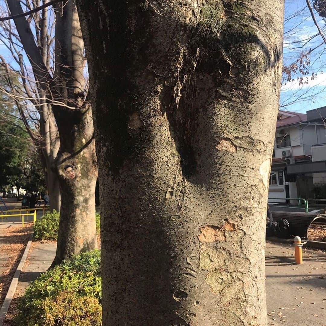 じゅんぺいさんのインスタグラム写真 - (じゅんぺいInstagram)「・ ・ あ！  樹木りんぐりや！  珍しいの見つけたー。 ・ ・ #樹木りんぐり #レア度高い  #りんぐり #皆さんも自分の周りの隠れりんぐり探してみて下さい」12月18日 14時12分 - jarujaru_jjg