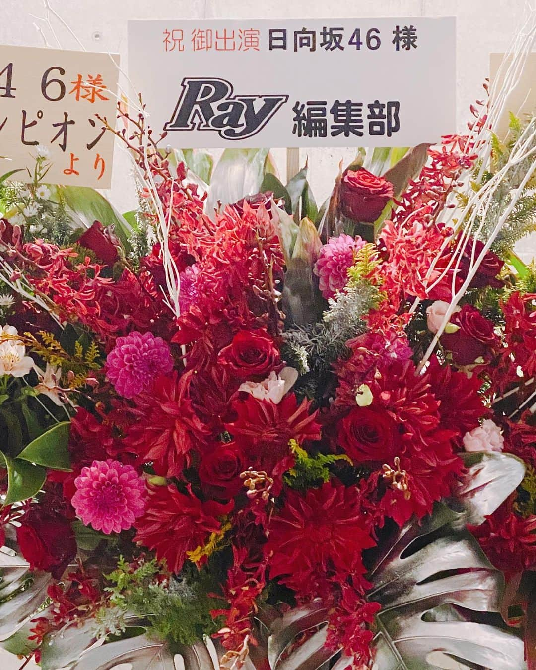 Rayさんのインスタグラム写真 - (RayInstagram)「「 #ひなくり2019 」の初日にお邪魔してきました〜♪﻿ ﻿ 会場全体をつかった楽しいライブでした💕﻿ 個人的には、サンタの衣装で「ドレミ→キツネ→NO WAR」のセトリにテンション上がりました😊﻿ ﻿ #日向坂46﻿ #ひなくり2019﻿ #Rayモのまっちゃんも﻿ #きくちゃんの応援に来てました〜﻿ ﻿#佐々木久美」12月18日 14時47分 - ray.magazine