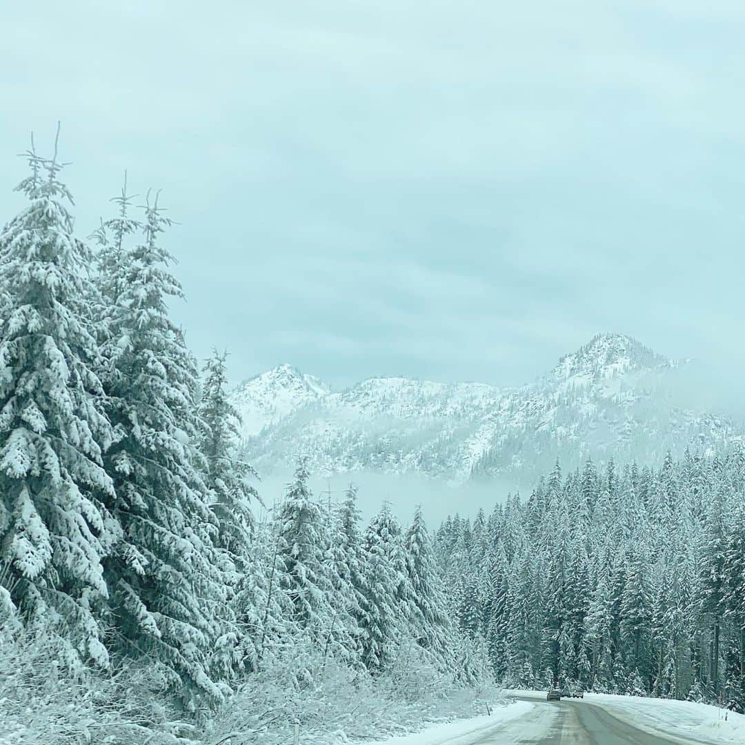 マキ・コニクソンさんのインスタグラム写真 - (マキ・コニクソンInstagram)「I Love Snow Country!! ⛄️⛄️ #雪国のおすそ分け🤙🏼」12月18日 6時11分 - makikonikson
