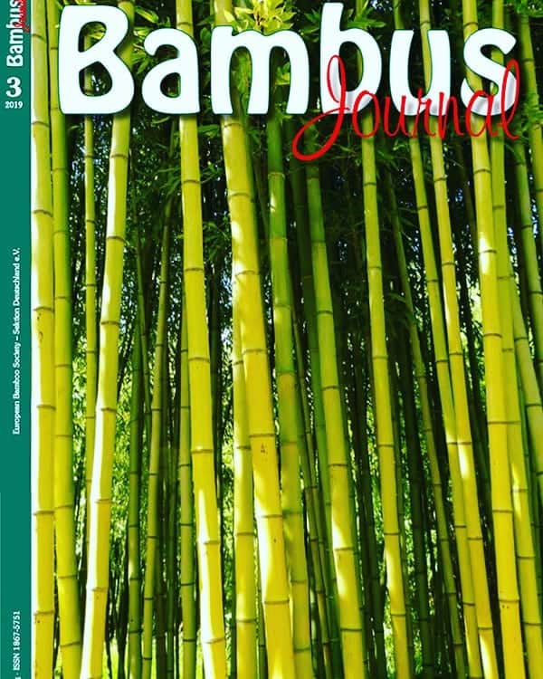 竹虎さんのインスタグラム写真 - (竹虎Instagram)「「bambus journal」というドイツの竹専門誌にスペイン・ビトリアで参加させてもらったボックスカートレースの模様や虎竹の里の事を掲載いただきました。 . この5月にベルギーから来社されていたLuc Boeraeveさんが記事を書いていただいたようですが竹の雑誌が発行されてるくらいヨーロッパ各国では竹に対する注目度は高いように思います。 . レースの車体REIWA-125号にも使われていたのは虎竹です。山に生えている時には蝋質の白っぽい粉をふいたように見えるのですが、その下に美しい虎模様が隠されています。 . 「虎」と言うのがいいです、虎は千里を駆けるという覇気あふれる動物。そして、それが松竹梅と言われ縁起の良い「竹」と結ぶと最強だと思うのです。わずか1.5キロの間口の谷間にしか生育しない不思議、魅了された100年の歴史。本当に面白いのです。 . #竹虎 #虎斑竹専門店竹虎 #山岸竹材店 #竹虎四代目 #TAKETORA #竹屋 #竹製品 #竹細工 #竹工芸 #竹 #bamboo #虎竹 #真竹 #青竹 #職人 #国産 #日本製 #竹林 #環境 #bambus journal #ボックスカートレース #LucBoeraeve #REIWA-125号 #スペイン #ドイツ #ビトリア」12月18日 6時17分 - taketora1894