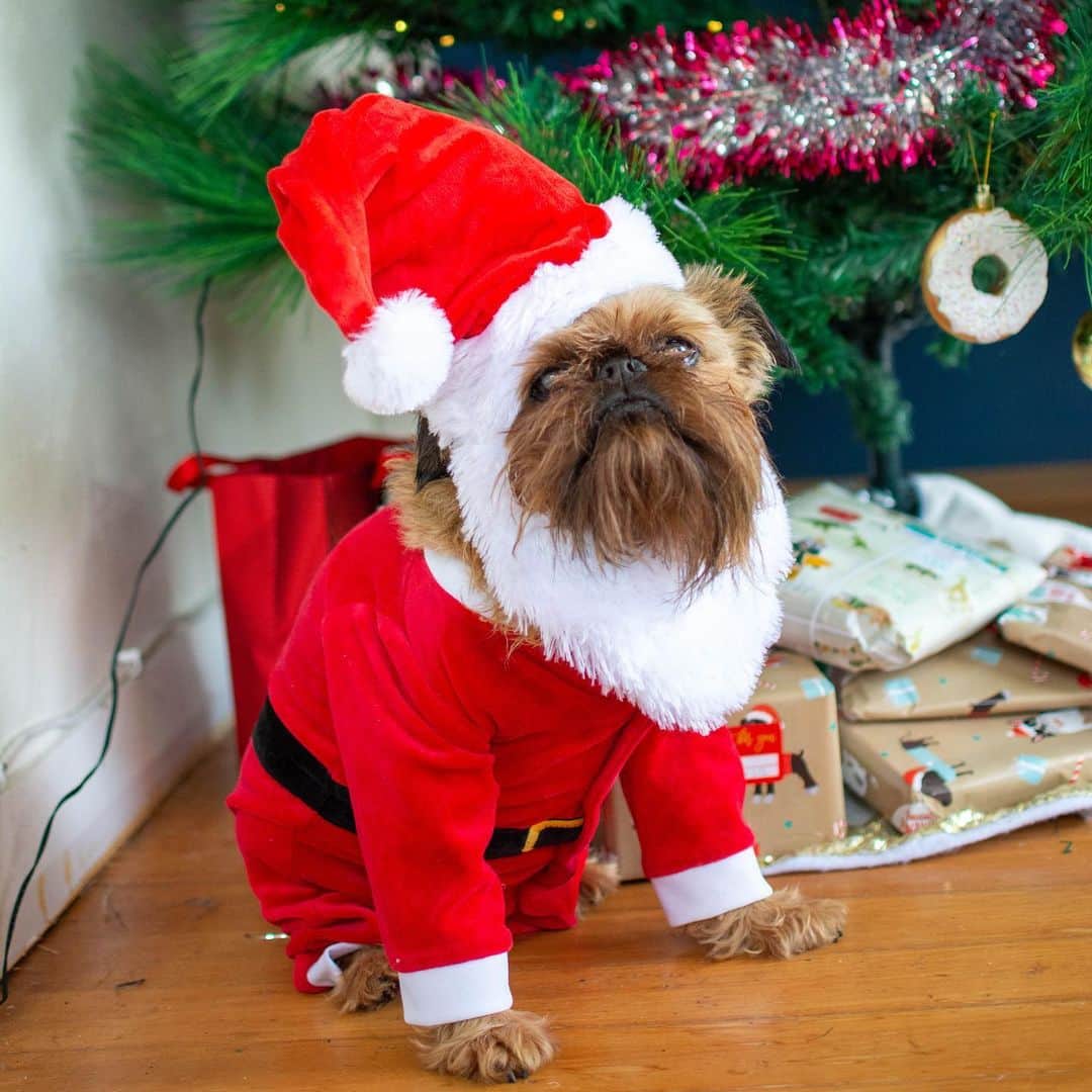 Digby & Aloのインスタグラム：「When you clock in early but the boss tells you you’re not getting paid for it. #howmanydaystogo」