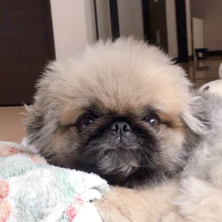 いぶそらのインスタグラム
