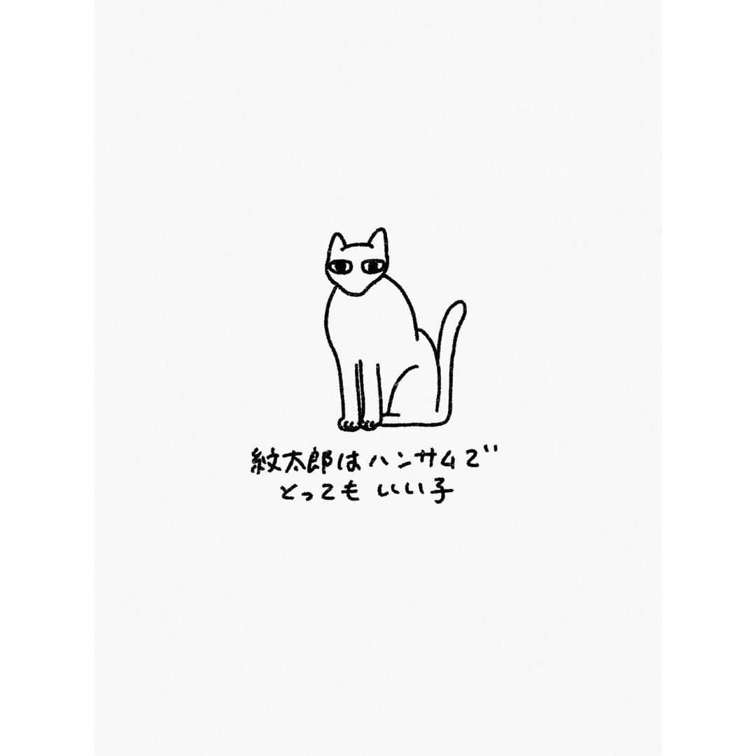 eriさんのインスタグラム写真 - (eriInstagram)「仔猫たちとユマの距離は縮まりそうで縮まらない。ユマから仔猫たちを舐めにいく時もあるし、廊下で会っただけで威嚇する時もあるし。しかし仔猫たちは相変わらずユマが大好きでなーんも気にせずにスリスリ甘えにいきます。(かわいい)  #紋久育児日記」12月18日 8時45分 - e_r_i_e_r_i