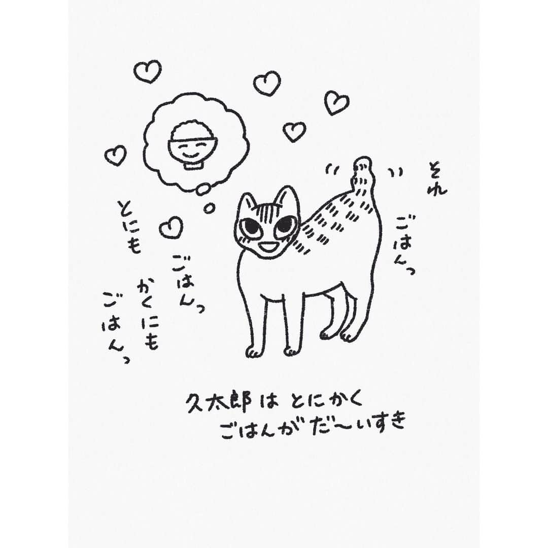 eriさんのインスタグラム写真 - (eriInstagram)「カラーが無事取れ、4日ぶりに自由の身になった猫たち。なんかすっごい安心したみたいで、思いっきり体をくっつけてスリスリゴロゴロした後にぐっすり眠っていました。よかったよかった。　#紋久育児日記」12月18日 8時52分 - e_r_i_e_r_i