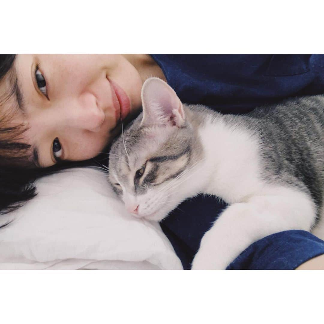 eriさんのインスタグラム写真 - (eriInstagram)「カラーが無事取れ、4日ぶりに自由の身になった猫たち。なんかすっごい安心したみたいで、思いっきり体をくっつけてスリスリゴロゴロした後にぐっすり眠っていました。よかったよかった。　#紋久育児日記」12月18日 8時52分 - e_r_i_e_r_i