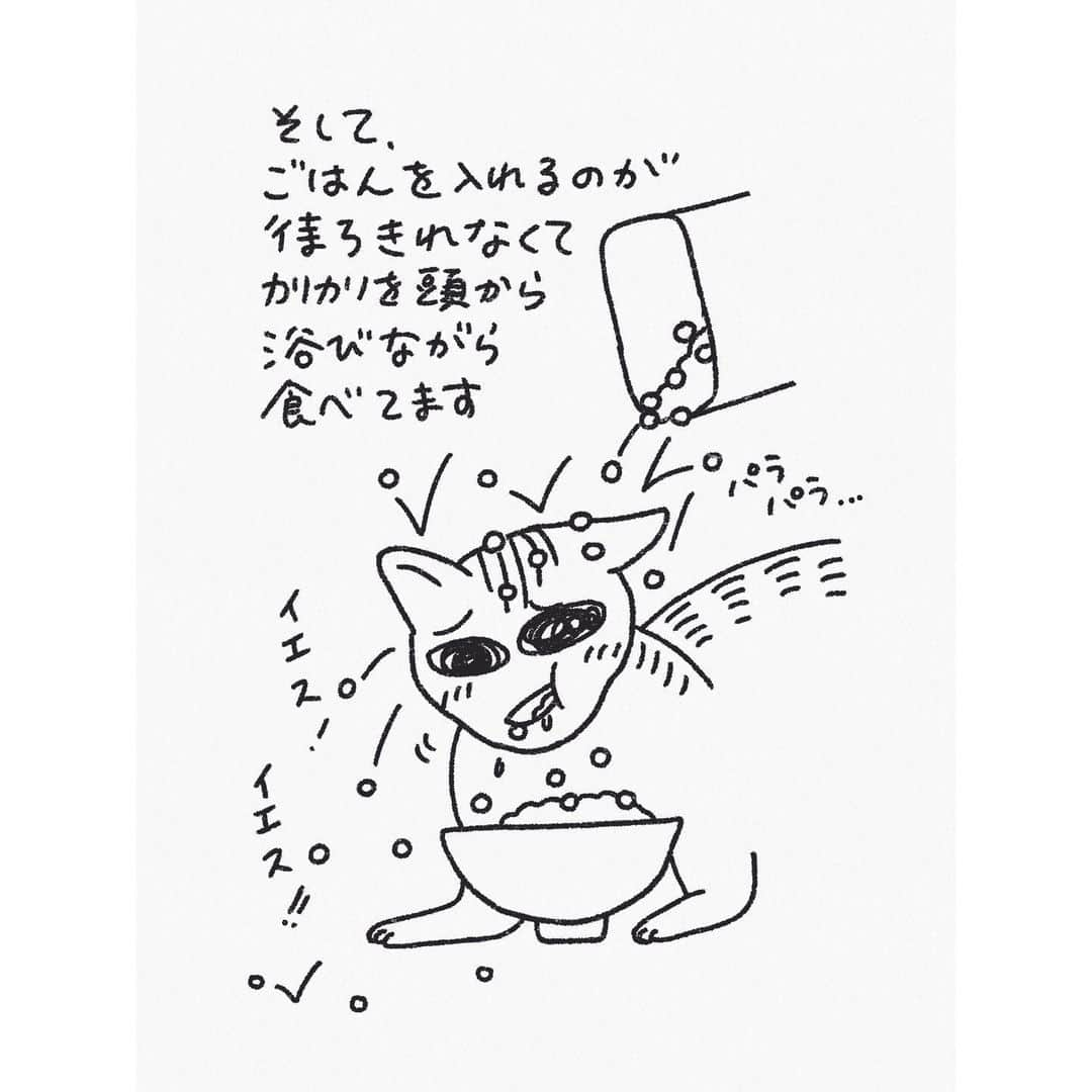 eriさんのインスタグラム写真 - (eriInstagram)「カラーが無事取れ、4日ぶりに自由の身になった猫たち。なんかすっごい安心したみたいで、思いっきり体をくっつけてスリスリゴロゴロした後にぐっすり眠っていました。よかったよかった。　#紋久育児日記」12月18日 8時52分 - e_r_i_e_r_i