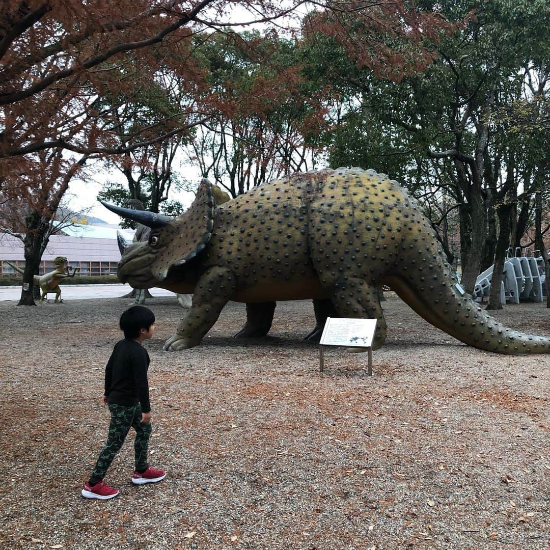 田中美里さんのインスタグラム写真 - (田中美里Instagram)「のんほいパーク。  動物園、植物園、遊園地、自然史博物館と盛り沢山！  広くて全部周りきれなかった。  恐竜好きムネくんは息吸うのも忘れるくらい、一気に全部の恐竜の説明してくれました。  モササウルスは覚えたよ。  #のんほいパーク #豊橋 #恐竜 #ムネくん #説明ありがとう  #一日中いたい #一日中いられる #日帰り旅行  @mariya.yamada」12月18日 9時32分 - misatotanaka77