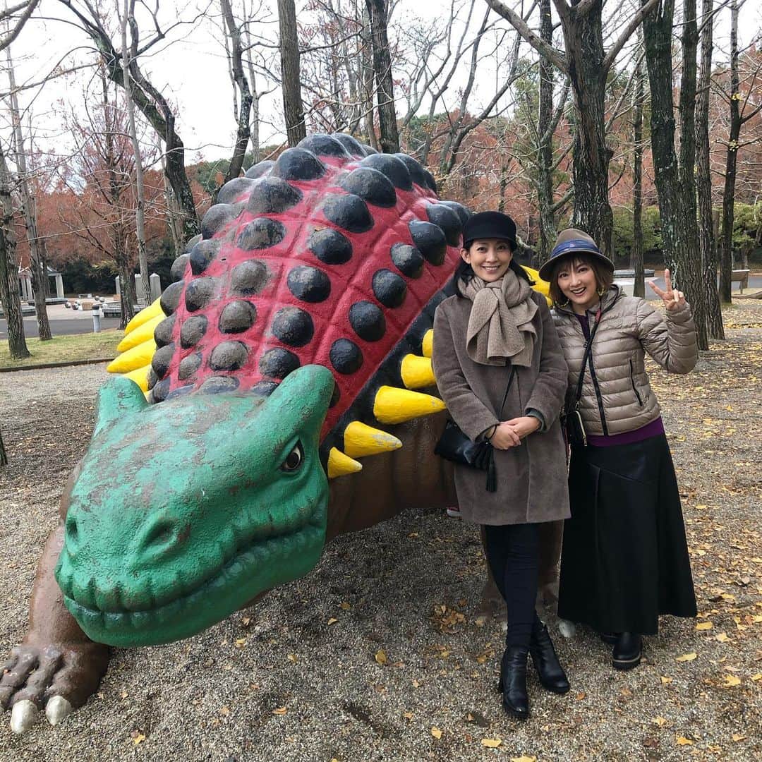 田中美里さんのインスタグラム写真 - (田中美里Instagram)「のんほいパーク。  動物園、植物園、遊園地、自然史博物館と盛り沢山！  広くて全部周りきれなかった。  恐竜好きムネくんは息吸うのも忘れるくらい、一気に全部の恐竜の説明してくれました。  モササウルスは覚えたよ。  #のんほいパーク #豊橋 #恐竜 #ムネくん #説明ありがとう  #一日中いたい #一日中いられる #日帰り旅行  @mariya.yamada」12月18日 9時32分 - misatotanaka77