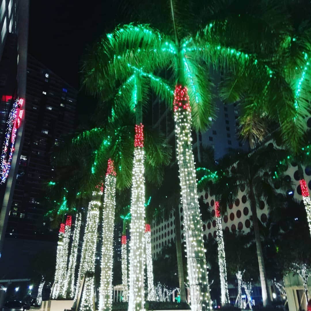 パオロ・デ・チェリエさんのインスタグラム写真 - (パオロ・デ・チェリエInstagram)「#christmas #natale #alberodinatale #palmadinatale #miami」12月18日 9時47分 - paolo_deceglie