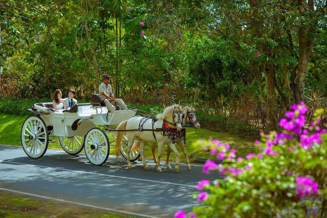 H.I.S. ウェディング（エイチ・アイ・エス）さんのインスタグラム写真 - (H.I.S. ウェディング（エイチ・アイ・エス）Instagram)「* * #バリ島 #トゥリスチャペル * こんなに広いホテルのお庭🌴 バリ島に来たらリゾート内を巡るフォトツアーはとってもおすすめ👍 馬車だってあります🐴　馬車にのれるのは、フランスかバリ島だけ😊 * * 📍Wedding at トゥリスナチャペル(アヤナリゾート&スパバリ) * * * 🉐初夢フェア開催中🉐 今ならお得に海外挙式が予約できちゃう♪ 2020年の挙式は年内の予約がおすすめです📣 * * 🤷‍♀️海外挙式ってどんな感じ🙄？予算は？ 準備期間は？まずどうしたらいいの？🤦‍♀️ など、疑問や質問があれば気軽にコメントしてね😉❣️ * * #hisウェディング #バリ島ウェディング  #海外挙式 #海外ウェディング #結婚式準備 #プレプレ花嫁 #幸せバトン #日本中のプレ花嫁さんと繋がりたい #ゼクシィ2019  #タビ嫁 #tabijyo_wedding #2019冬婚 #2020春婚 #プロポーズ #理想の結婚式  #his卒花 #海外挙式準備 #サマーウェディング #撮影ポーズ #ハワイ好きな人とつながりたい #海外花嫁 #式場探し中 #海外ウェディングフォト #リゾートウェディング #結婚式は旅だ #ハワイウェディング  #トゥリスナチャペルhis」12月18日 9時55分 - his_wedding