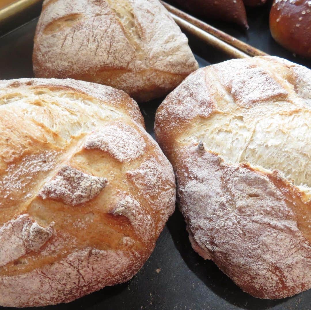 魔女菅原のグルメインスタ