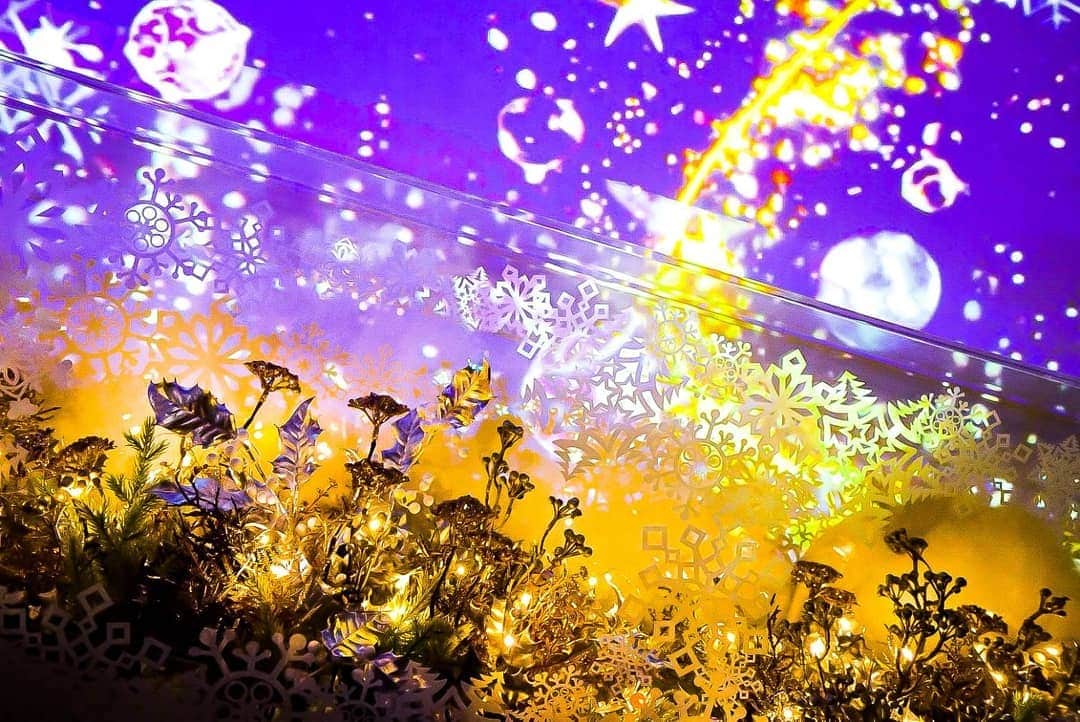 石関友梨さんのインスタグラム写真 - (石関友梨Instagram)「水族館内がXmasイルミ✨幻想的で浸りたい中、とにかく周りはカップルばっかりだった(｡•ㅅ•｡) #マクセルアクアパーク品川 #写真部 #Xmas限定 #海月 #癒し空間 #綺麗 #この日のごはんは豚カツ定食」12月18日 10時10分 - yurimorico
