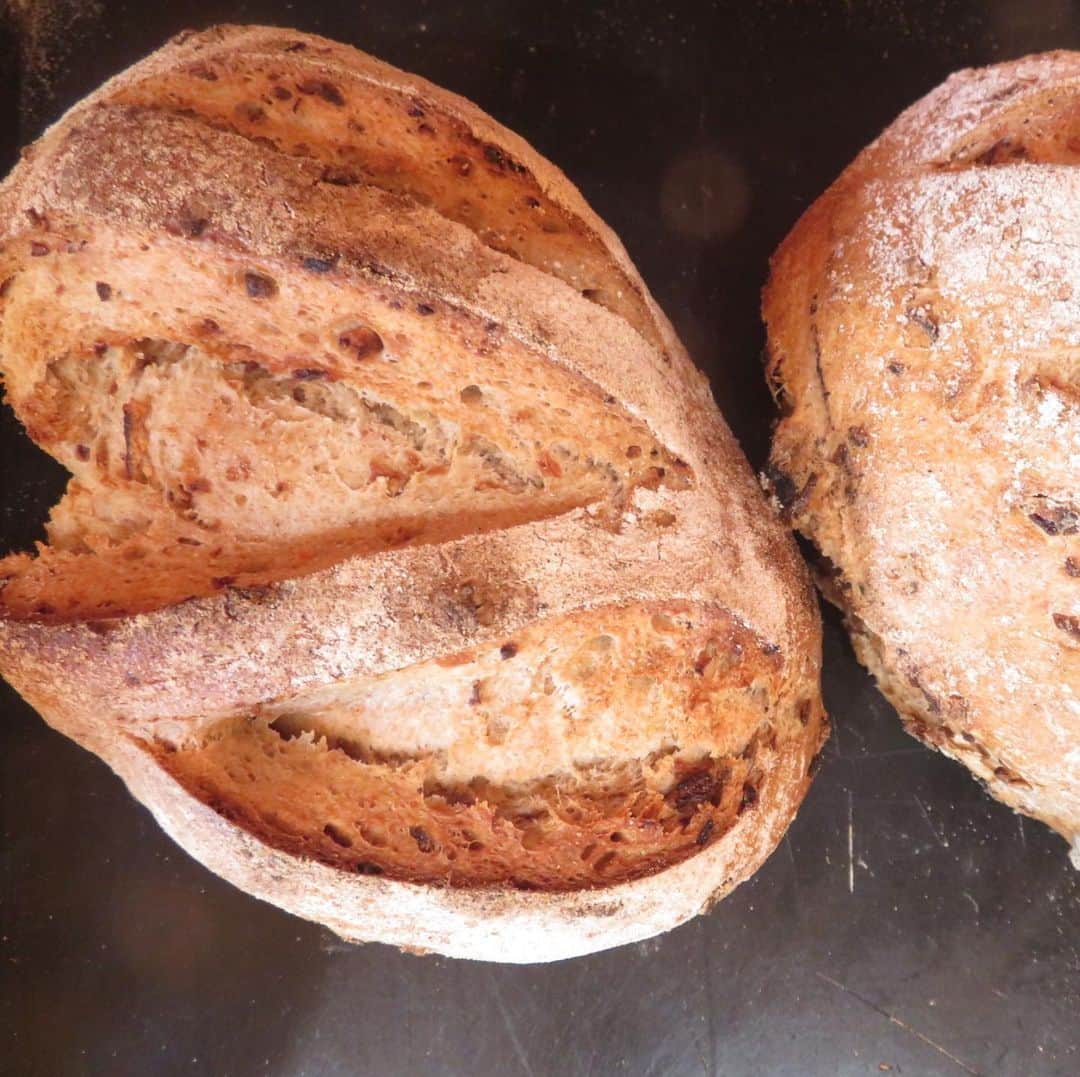 魔女菅原さんのインスタグラム写真 - (魔女菅原Instagram)「フライドオニオン入りの玉ねぎのライ麦パンは焼いたあと玉ねぎ炒めの匂いが漂い食欲をそそります。ぐう…  #玉ねぎのライ麦パン #フライドオニオン #ツヴィーベルブロート #roggen #ライ麦食パン  #自家製天然酵母のパン屋さんカンパーニュ #魔女菅原」12月18日 10時11分 - hatsuyosugawara