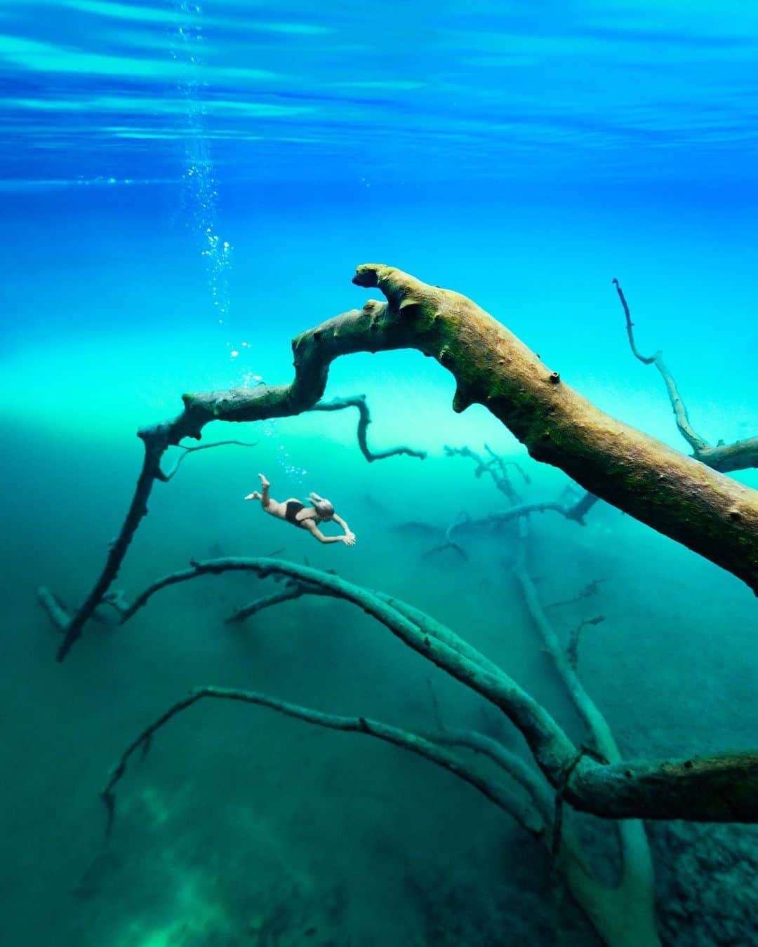 Travis Burkeのインスタグラム：「This remote and incredible lake in the jungles of Indonesia is comprised of two different layers of water—the top layer is cool, crystal clear fresh water, and the bottom layer is warm, green, and salty.  @brinkleydavies pictured here exploring the depths of both; when she would resurface she’d freak out at the cute monkeys watching us and playing in the trees above. Then, after a few minutes, we’d take deep breath and dive back down into this other world.  I’m super excited for more freediving adventures like this that Brinkley and I are planning for 2020!  #freediving #indonesia #wonderfulindonesia」