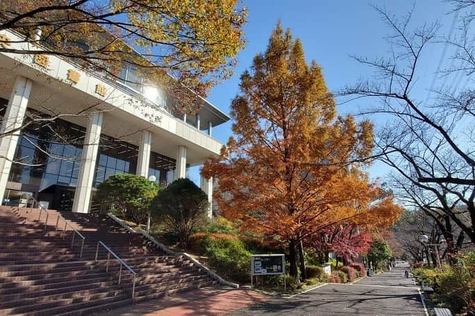 Soka Universityさんのインスタグラム写真 - (Soka UniversityInstagram)「Campus Seasonal Photos December ② 丹木の歳時記　師走② #discoversoka #sodaigram #sokauniversity #hachioji #tokyo #japan #campus #university #december #winter #environment #students #beautiful #創価大学 #八王子 #東京 #キャンパス #大学 #師走 #12月 #冬 #環境 #学生」12月18日 11時06分 - sokauniversity