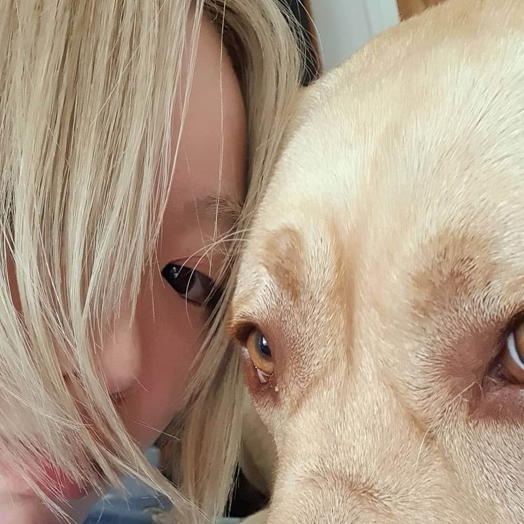 フェルナンダ・リーのインスタグラム：「Tong tong tong tong tong 🐕‍🦺 We are together again 🥰」